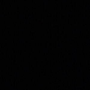 Meet your Posher, Roberto